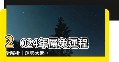 兔運程2024|屬兔2024運勢前瞻：每月運程詳析